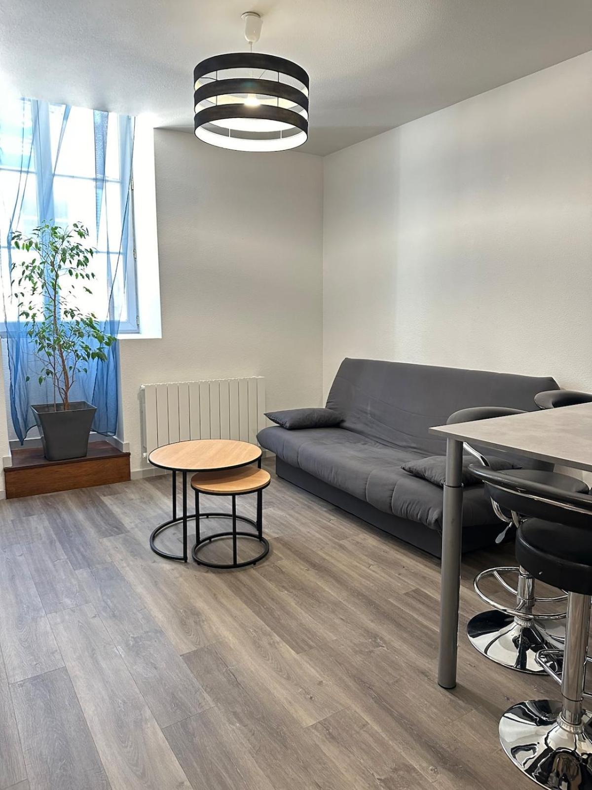 לונס-לה-סונייה Appartement Calme Au Coeur De La Ville מראה חיצוני תמונה