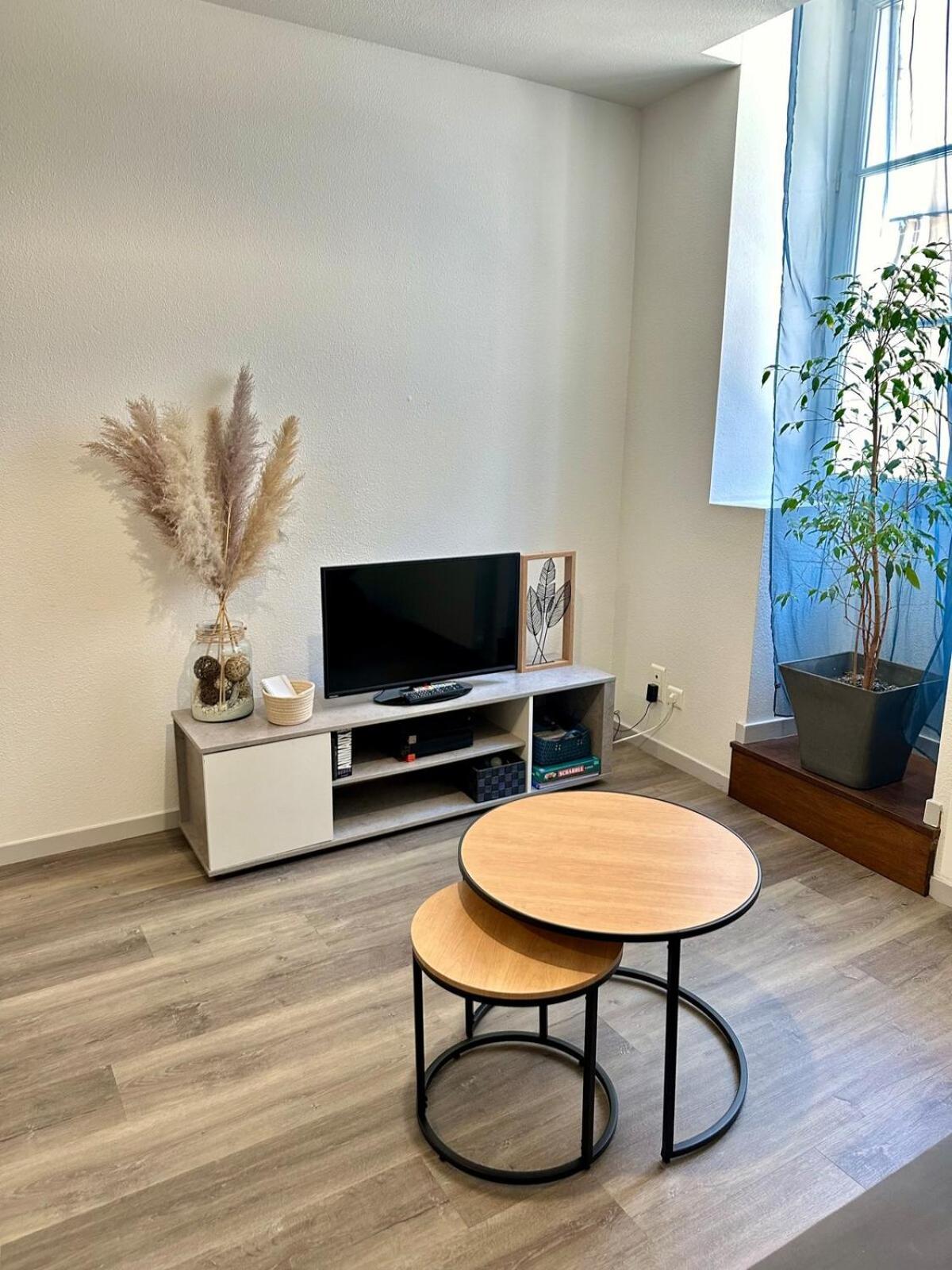 לונס-לה-סונייה Appartement Calme Au Coeur De La Ville מראה חיצוני תמונה